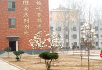 优秀教师